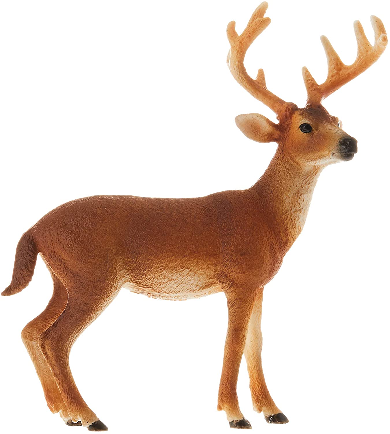 White-Tailed Deer Buck Figure – A2Z Science & Toys