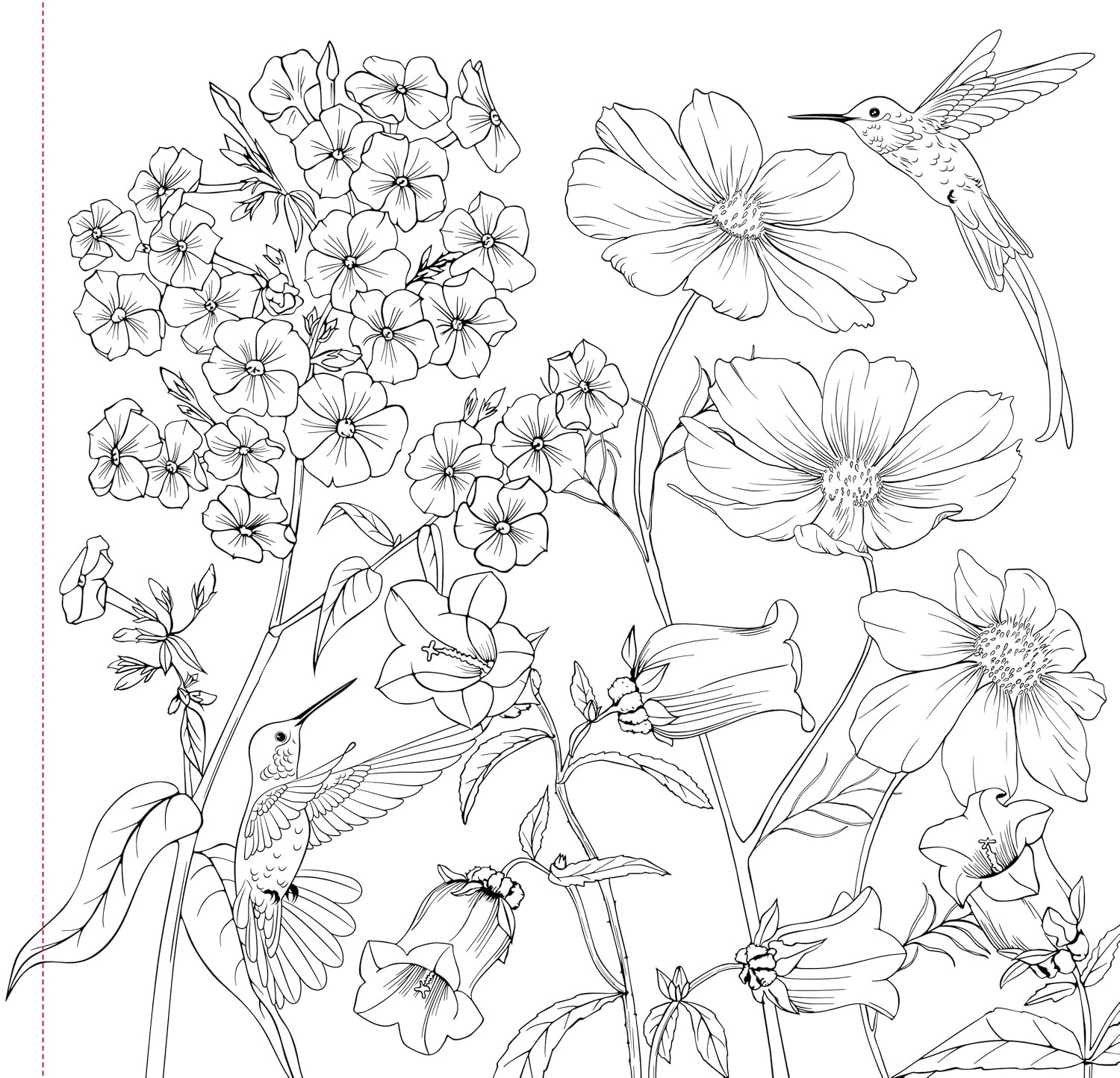 Wildflowers Adult Coloring Book by Peter Pauper Press