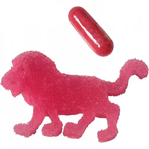 Wild Animals Magic Grow Capsules by U.S. Toy 1