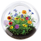 Wildflower Blooms Terrarium by Dunecraft 1