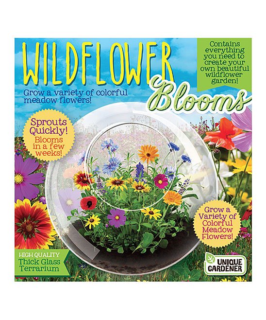 Wildflower Blooms Terrarium by Dunecraft