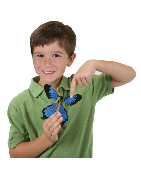 Wind Up Butterfly by Insect Lore 2