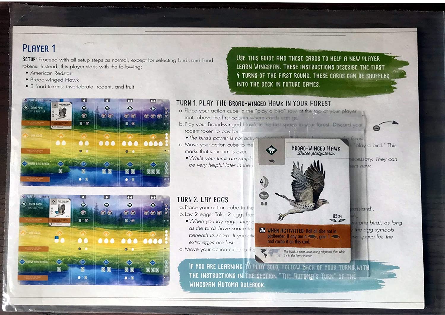 Wingspan by Stonemaier Games 1