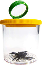 Worlds Best Bug Jar by Safari 2