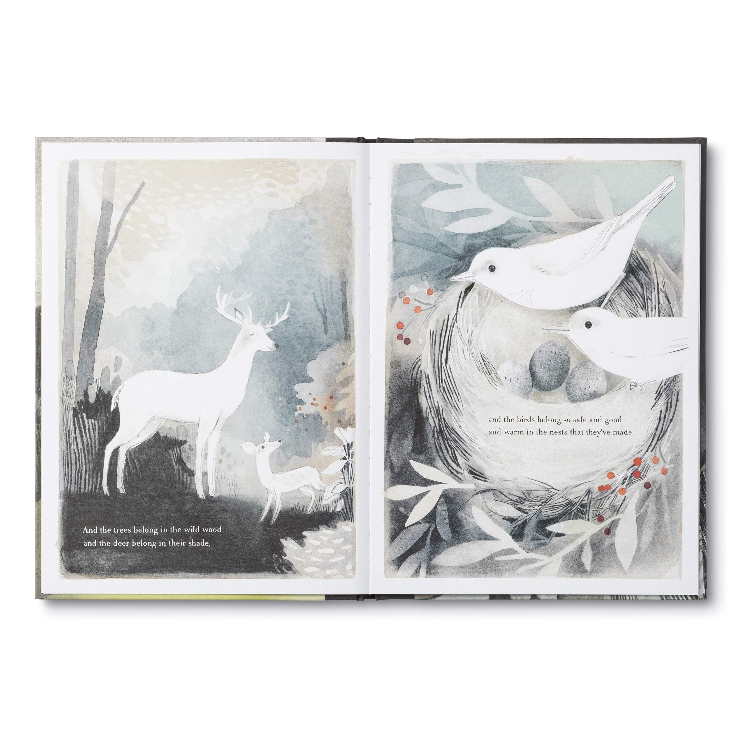 You Belong Here by Compendium 2