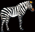 Zebra Pin by WM Spear Designs