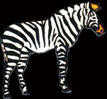 Zebra Pin by WM Spear Designs