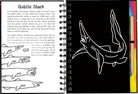 Scratch & Sketch Sharks by Peter Pauper Press