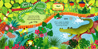 Zoo Sounds by Usborne 2