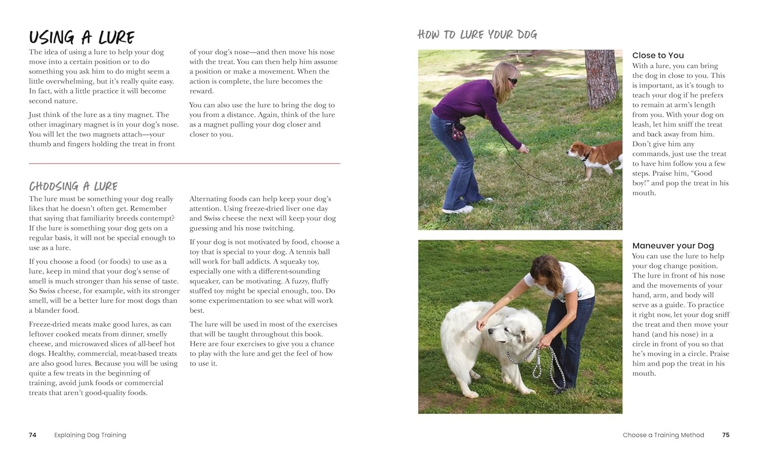 How to Train Your Dog by DK Publishing