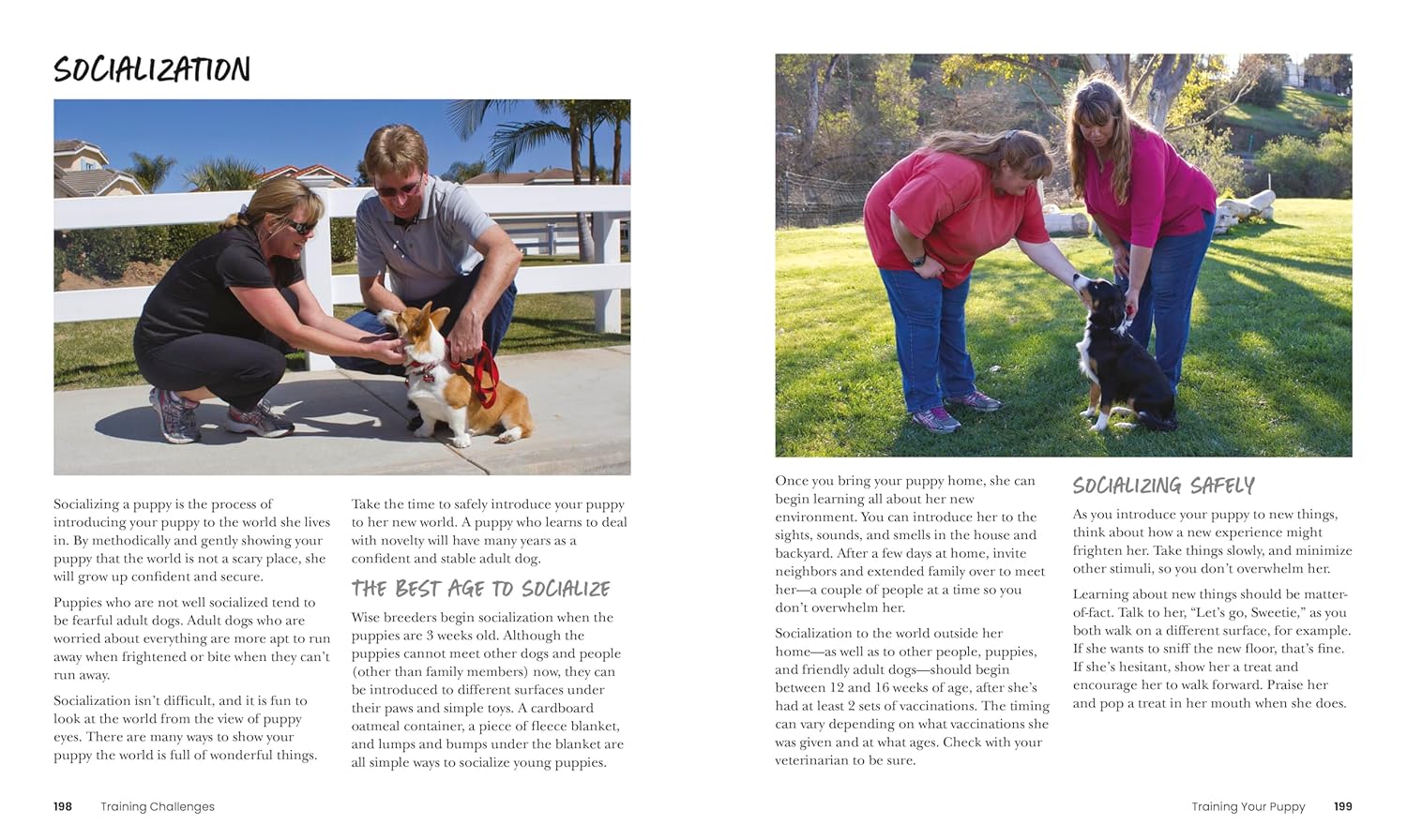 How to Train Your Dog by DK Publishing