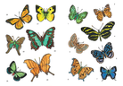 Little Butterfly Stickers by Dover Publications