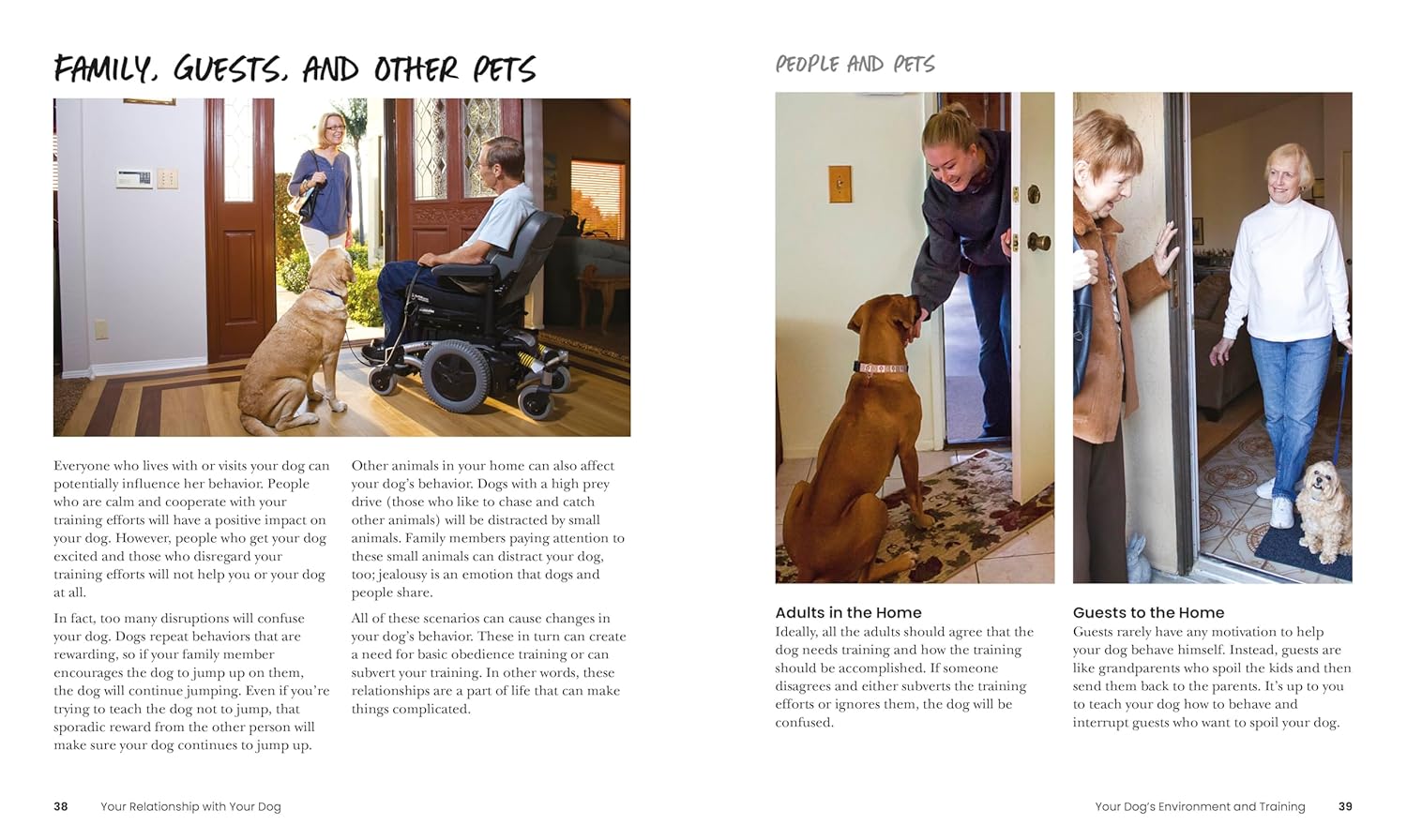 How to Train Your Dog by DK Publishing