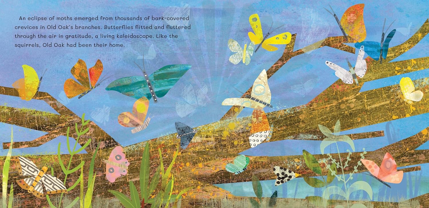 Thank You, Old Oak  by Barefoot Books