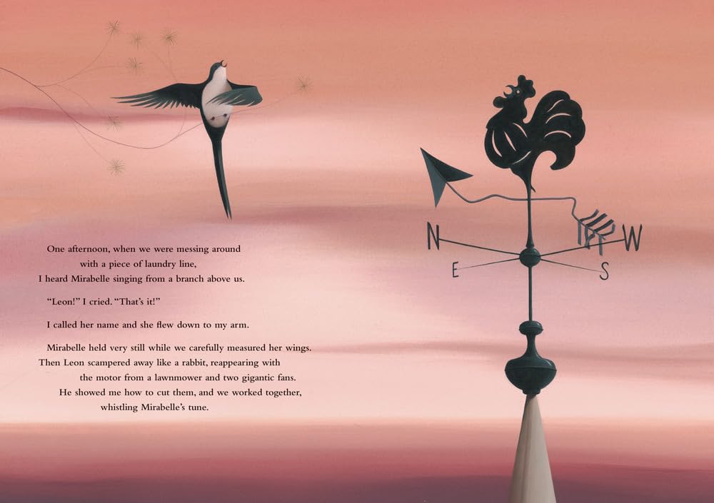 Cloud Chaser by Barefoot Books