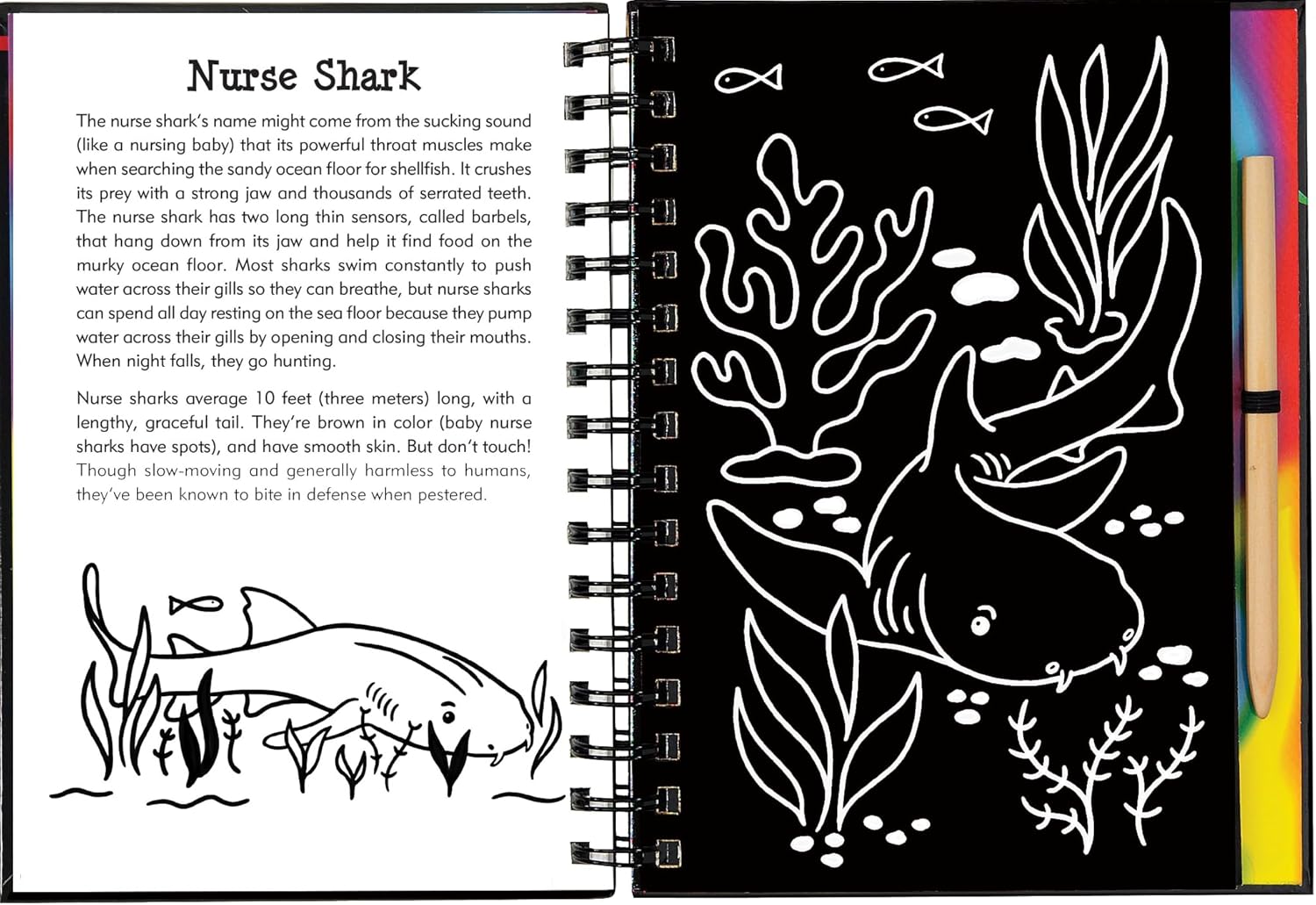 Scratch & Sketch Sharks by Peter Pauper Press
