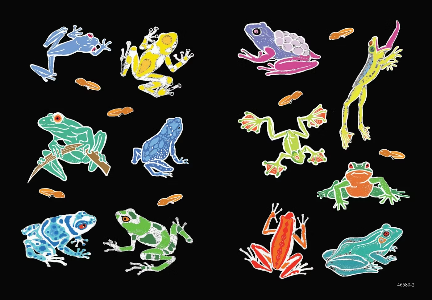 Glow-in-the-Dark Frogs Stickers by Dover Publications
