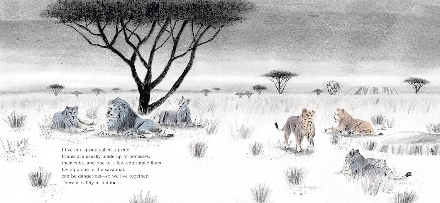 I Am a Lioness by Peter Pauper Press