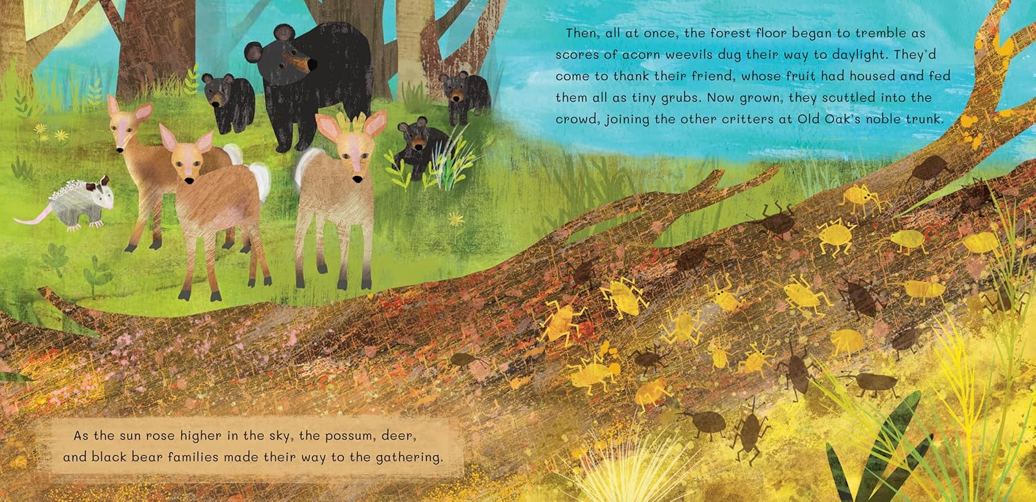 Thank You, Old Oak  by Barefoot Books