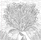 Wildflowers Adult Coloring Book by Peter Pauper Press