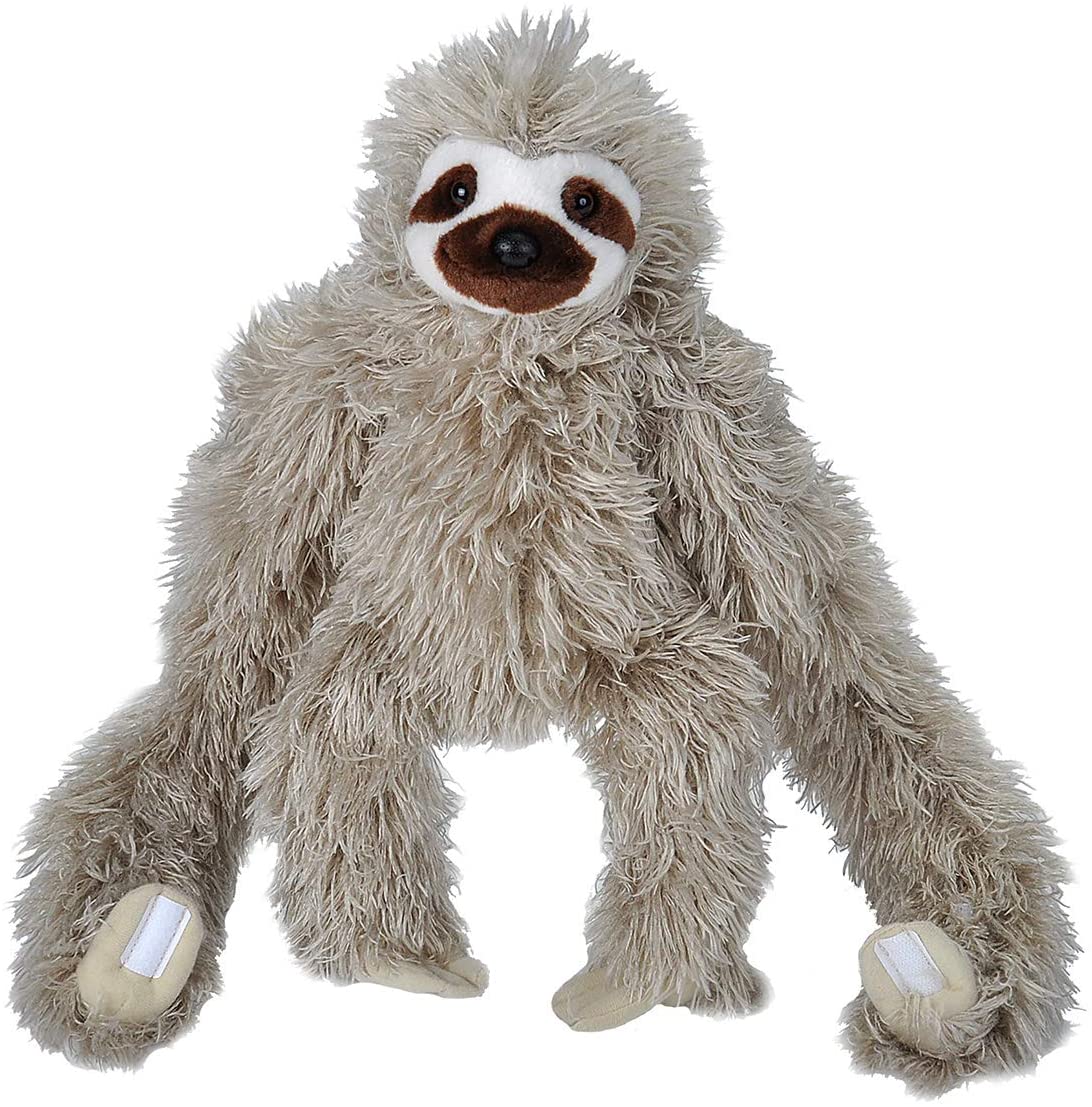 sloth plush